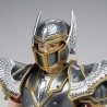 PEGASUS SEIYA KNIGHTS OF THE ZODIAC FIG. 17 CM SAINT SEIYA THE BEGINNING SAINT CLOTH MYTH