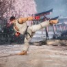 RYU OUTFIT 2 VER. FIGURA 15 CM STREET FIGHTER SERIES SH FIGUARTS                PRECIO NETO / FECHA LIMITE: 24/09/2023