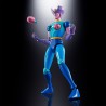 GX-108 RHEIN X1 & GX-11R DIANAN A SET 2 FIG. 17 CM MAZINGER Z SOUL OF CHOGOKIN  PRECIO NETO / FECHA LIMITE: 24/12/2023