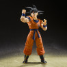 S.H. Figuarts Son Goku & Son Gohan - Kid - & Kintoun - Exclusive Edition
