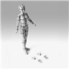 BODY CHAN -SPORTS EDITION WIRE FRAME- (GRAY COLOR VER.) FIG. 13,5 CM BODY KUN / BODY CHAN