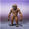SUKO & MOTHRA 2024 VER. FIG. 7 / 29 CM GODZILLA VS KONG THE NEW EMPIRE SH MONSTERARTS COLL