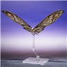 SUKO & MOTHRA 2024 VER. FIG. 7 / 29 CM GODZILLA VS KONG THE NEW EMPIRE SH MONSTERARTS COLL