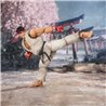 RYU OUTFIT 2 VER. FIGURA 15 CM STREET FIGHTER SERIES SH FIGUARTS